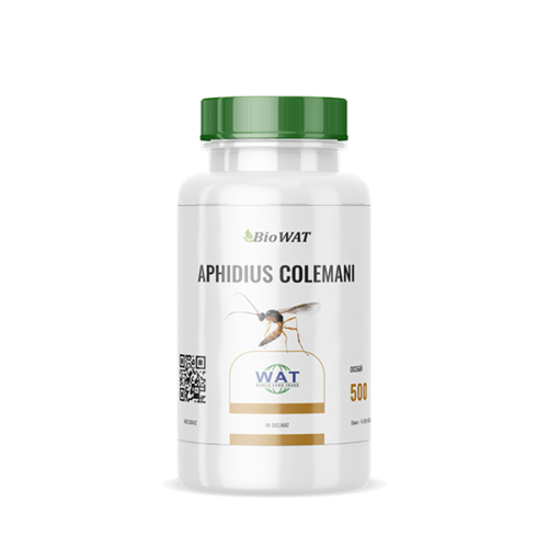 Афидиус - Aphidius colemani бутылка 200 мл (500особей)