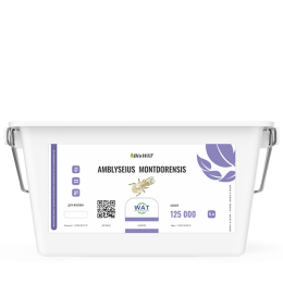 Амблисейус монтдоренсис (вед/5л/125.000 ос) Amblyseius montdorensis