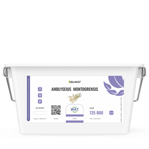 Амблисейус монтдоренсис (вед/5л/125.000 ос) Amblyseius montdorensis