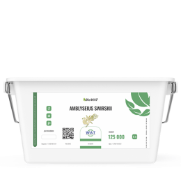 Амблисейус свирский (5л/125.000 ос) Amblyseius swirskii