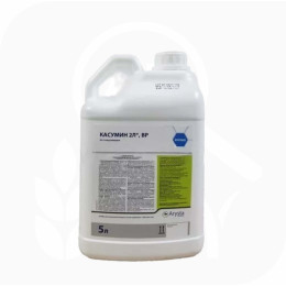 Касумин, в.р. (5л)
