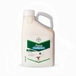 Луна Транквилити, к.с. (5л).