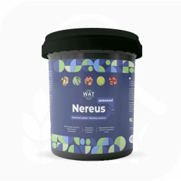 Нереус - Nereus (20л)