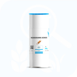 Ситотрога цереалелла (1 тубус/200 г) Sitotroga cerealella