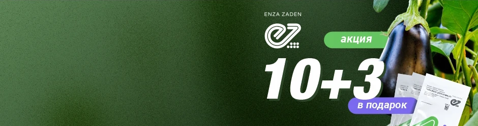 Акция / Enza Zaden / Семена баклажан